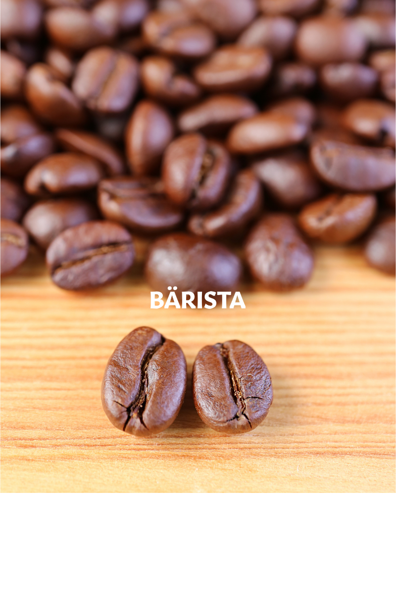 Arabica vs. Robusta – Unterschiede, Geschmack & welcher Kaffee zu dir passt